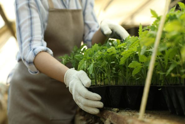 jardinería